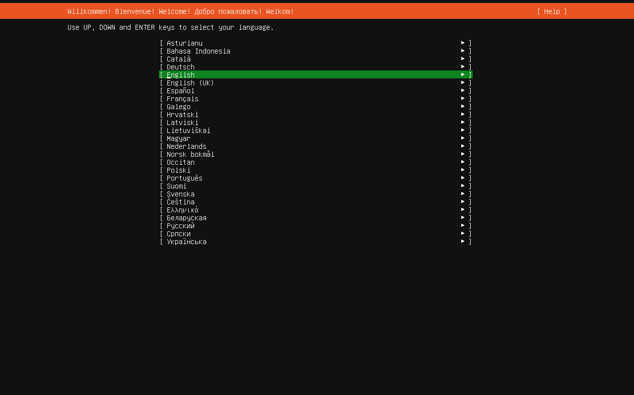 Установка Ubuntu 24.04 Server изображение с сайта www.devhops.ru image from www.aredel.com