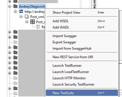 SOAP UI New Test Suite Right Click Project Image from www.eth1.ru